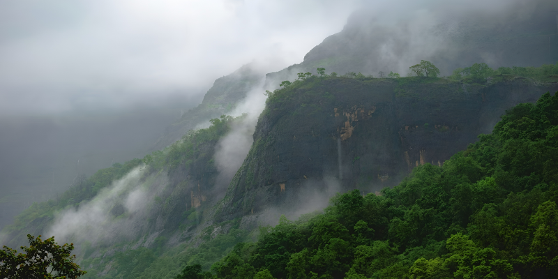 Monsoon Deal